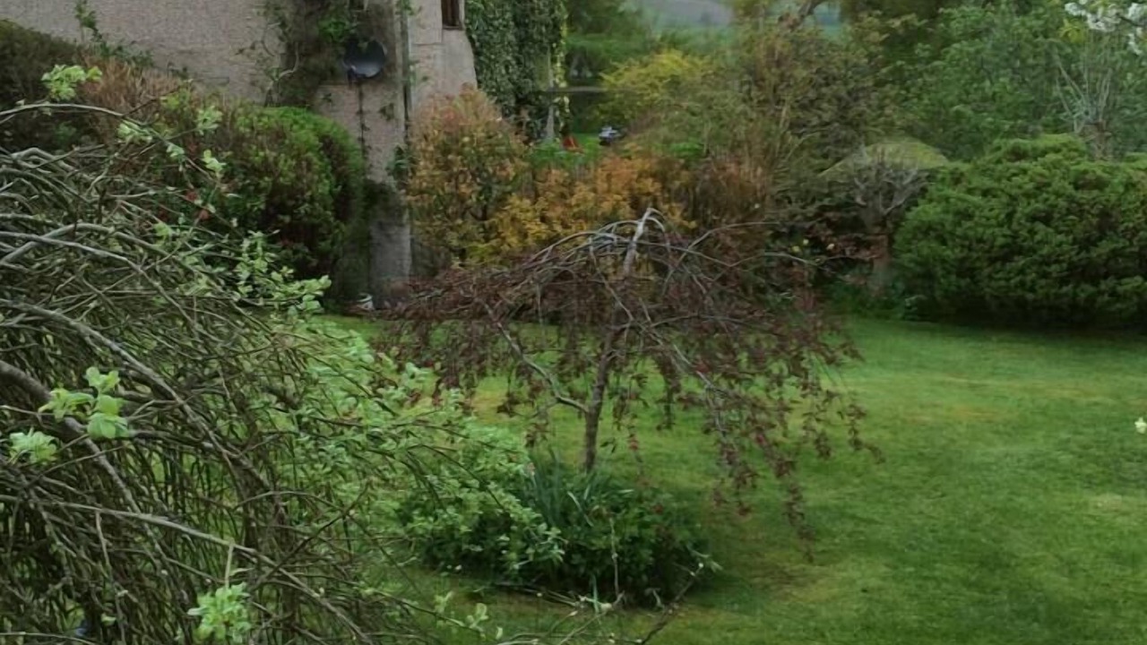 Photo of Others in Corwen