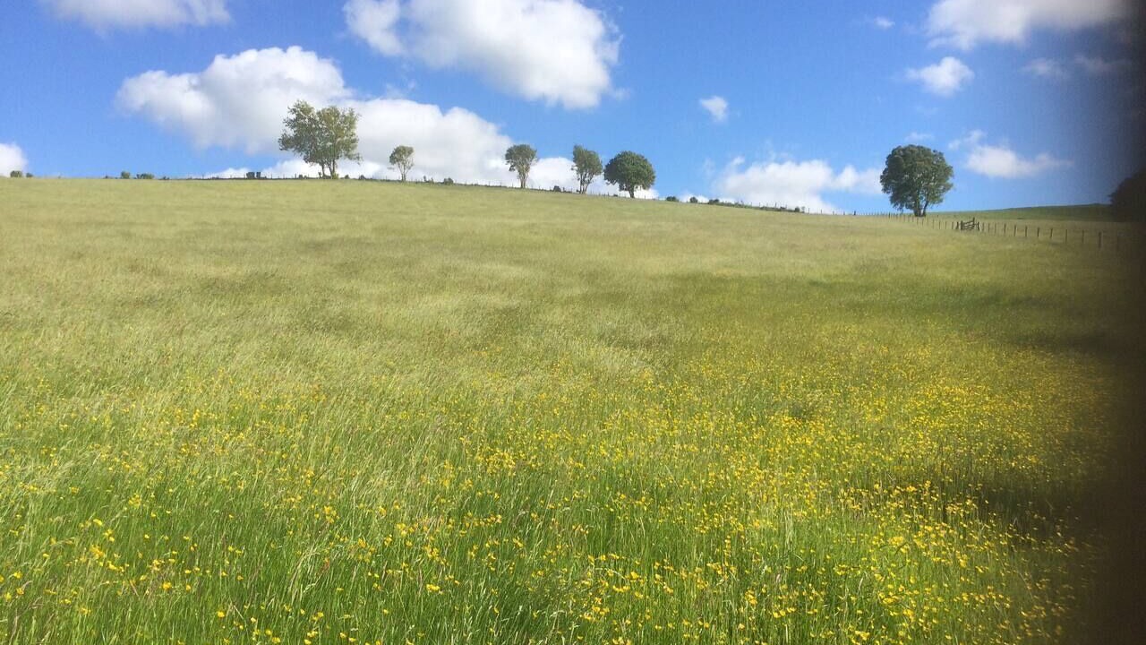 Photo of Others in Corwen