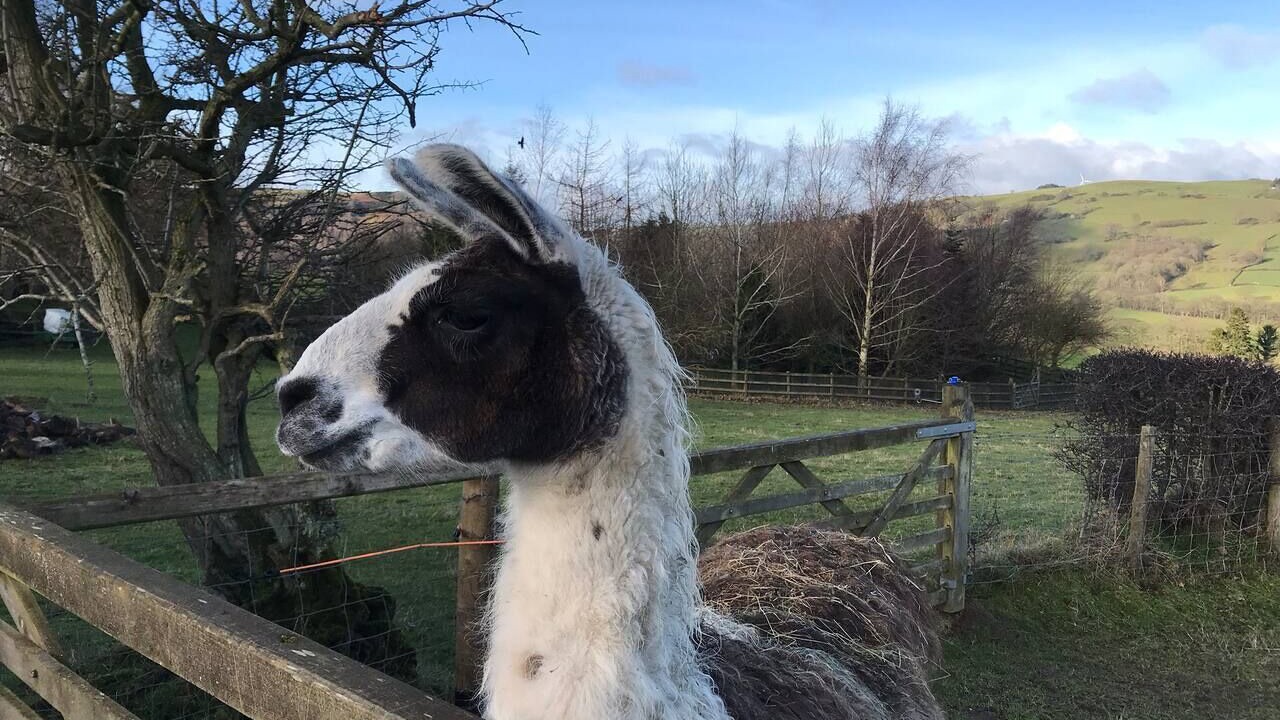 Photo of Others in Corwen