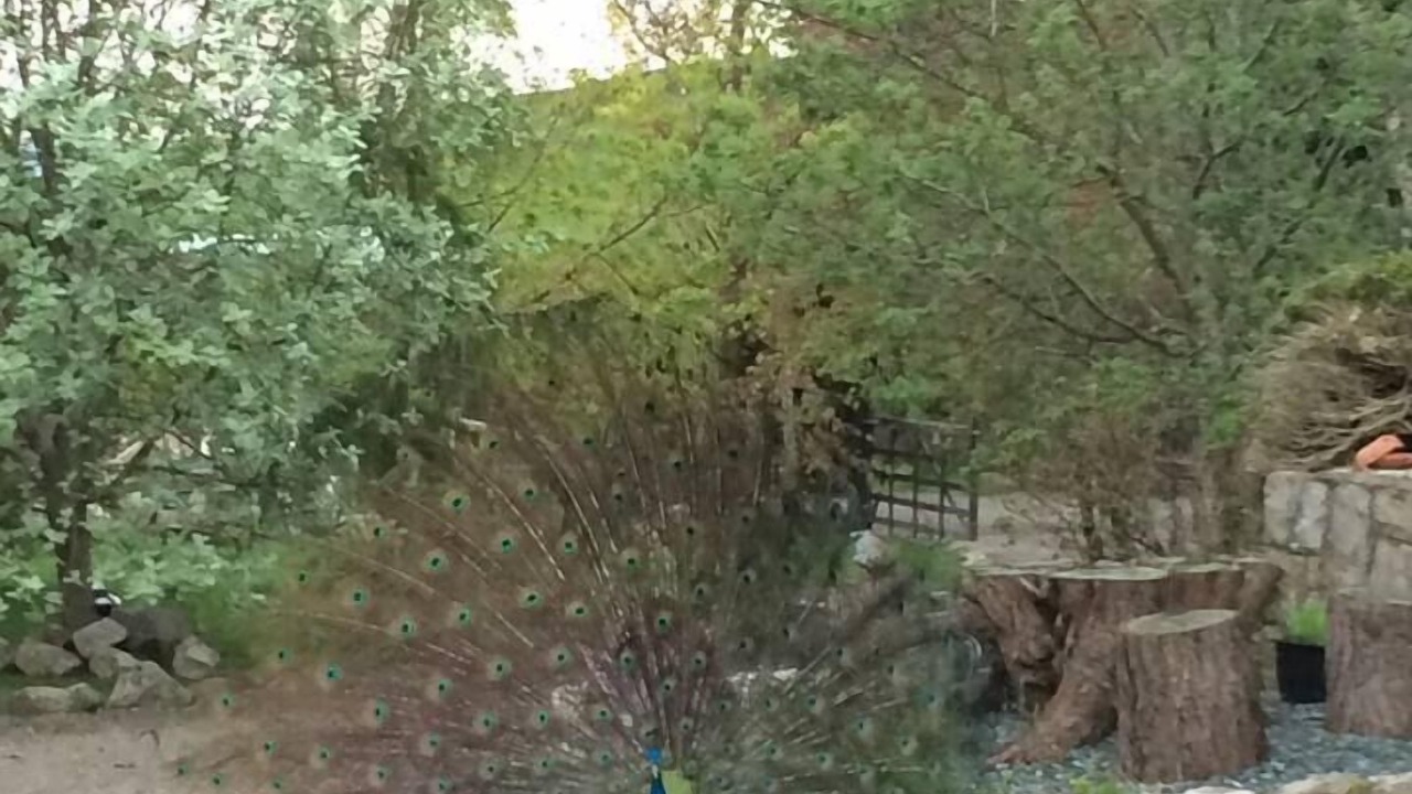 Photo of Others in Corwen