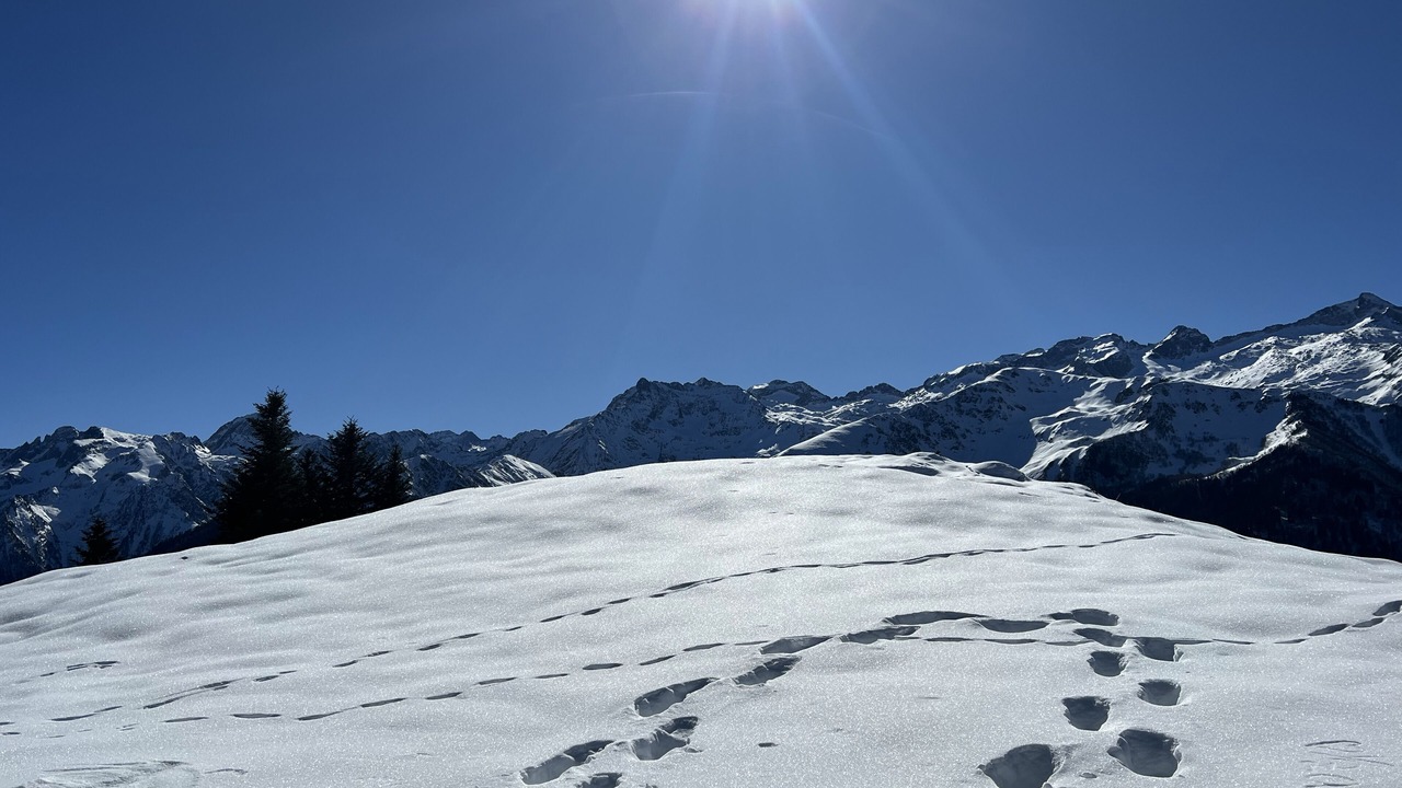 Photo of Others in Bagneres-de-Luchon