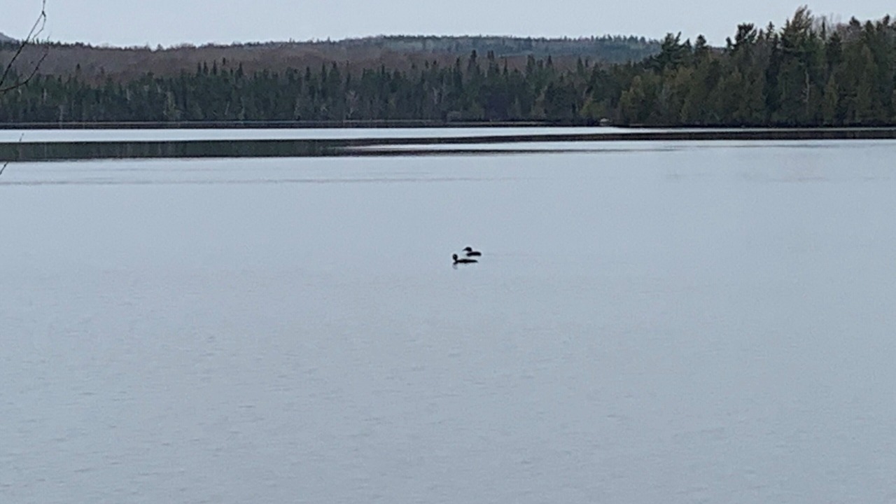 Photo of Others in Lac-Drolet
