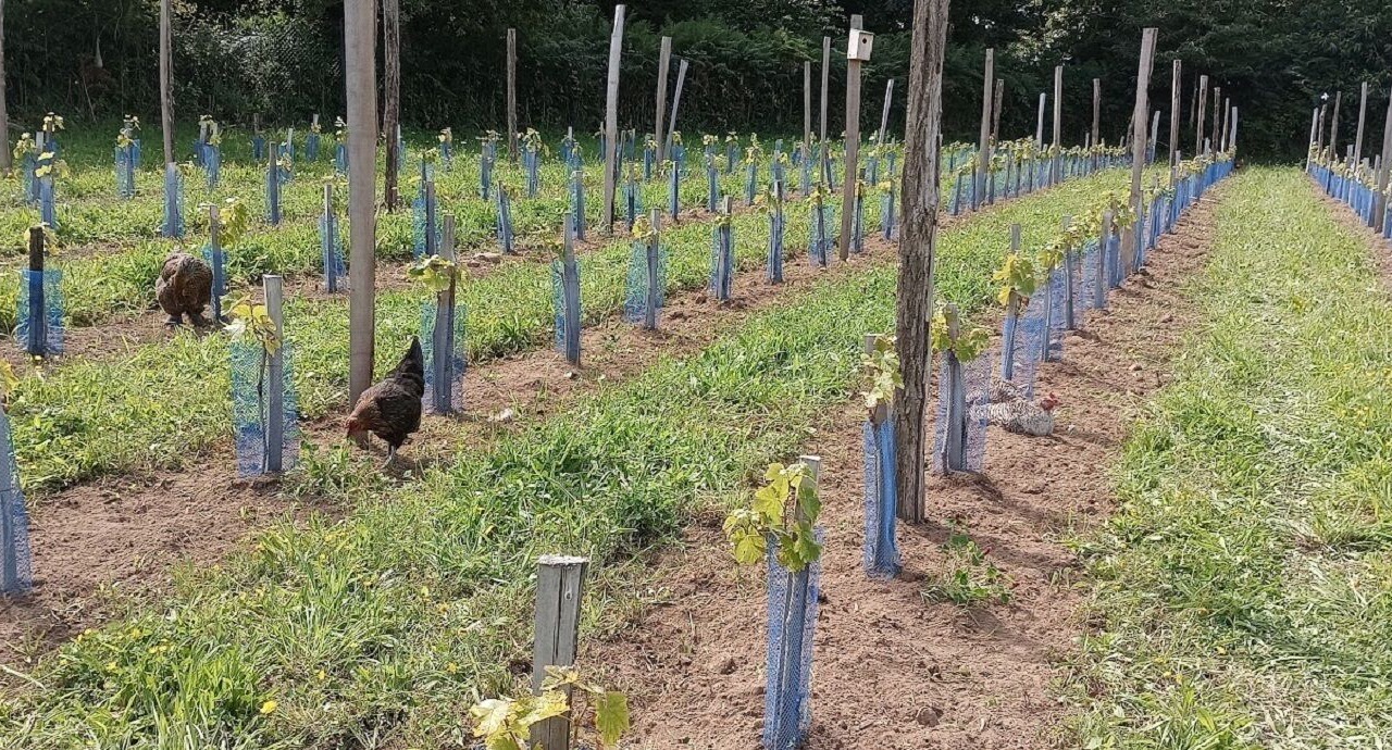 Photo of Outdoor in Pouldergat