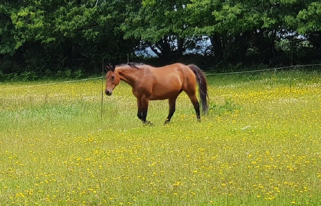 Photo of Others in Pouldergat