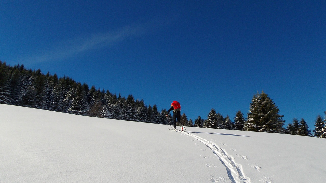 Photo of Others in Seix