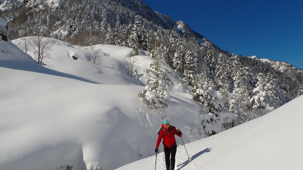 Photo of Others in Seix