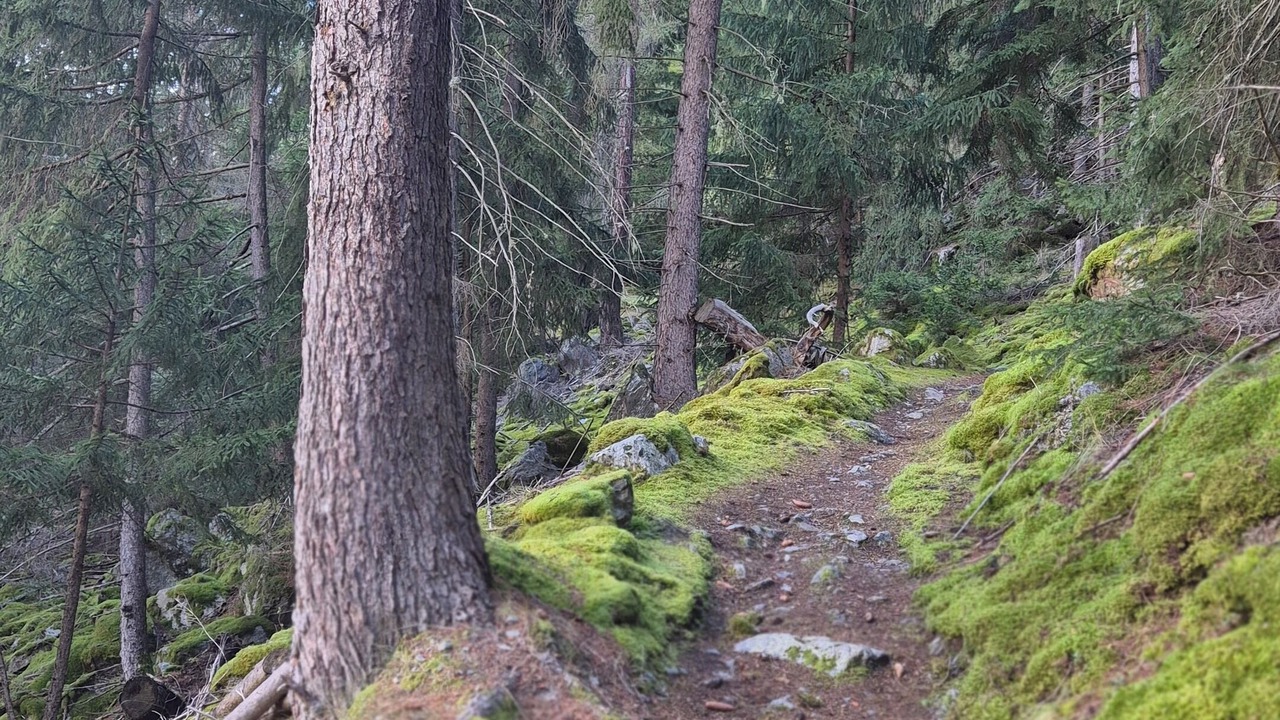 Photo of Others in Graechen