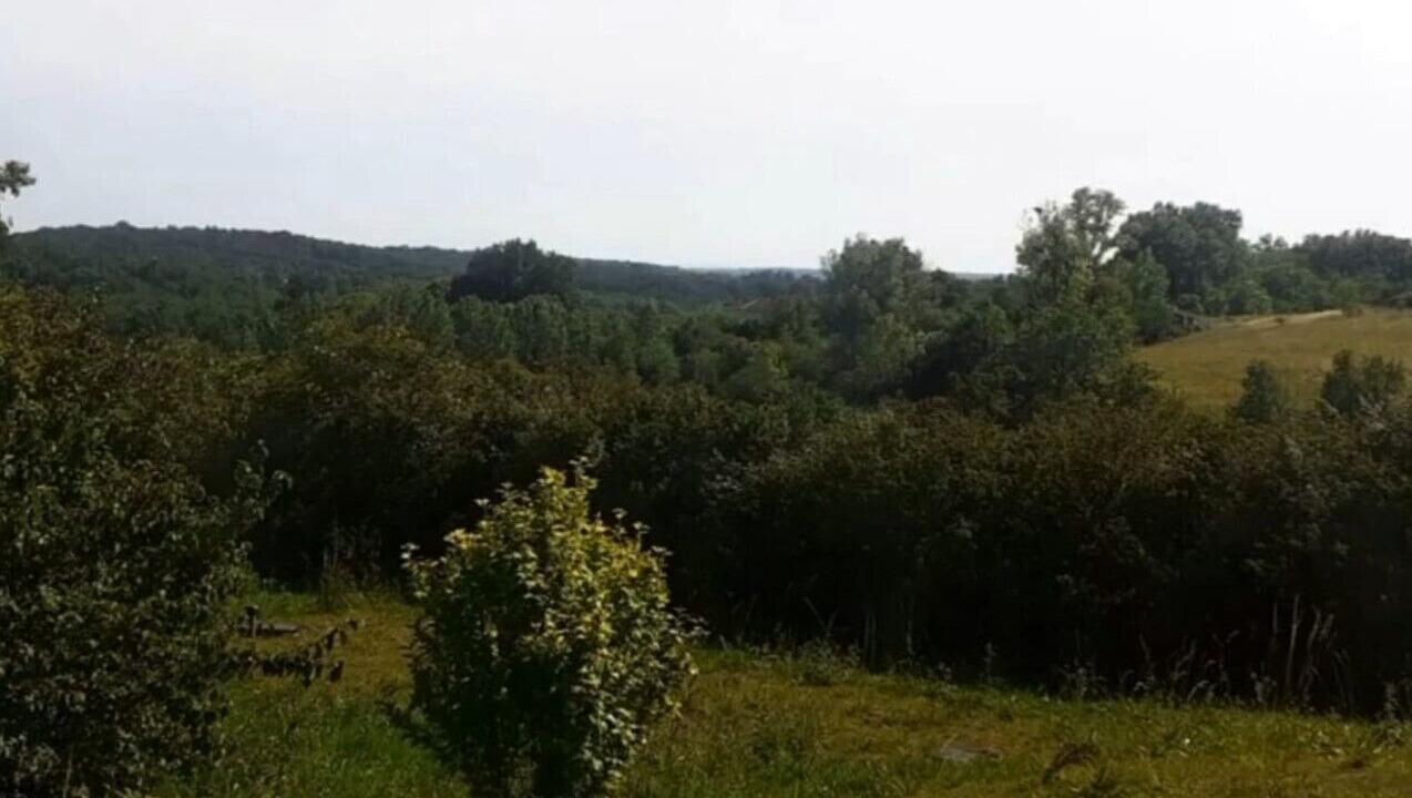 Photo of Outdoor in Durfort-Lacapelette