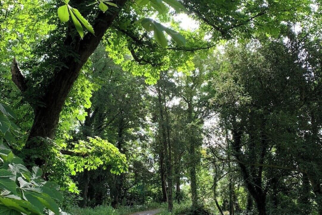 Photo of Others in Waddesdon