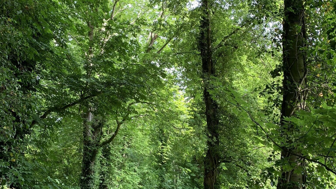 Photo of Outdoor in Waddesdon