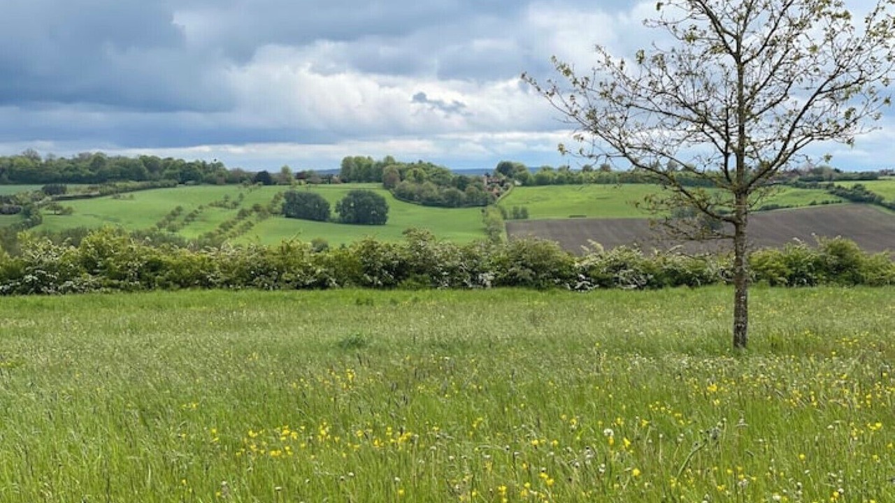 Photo of Others in Waddesdon