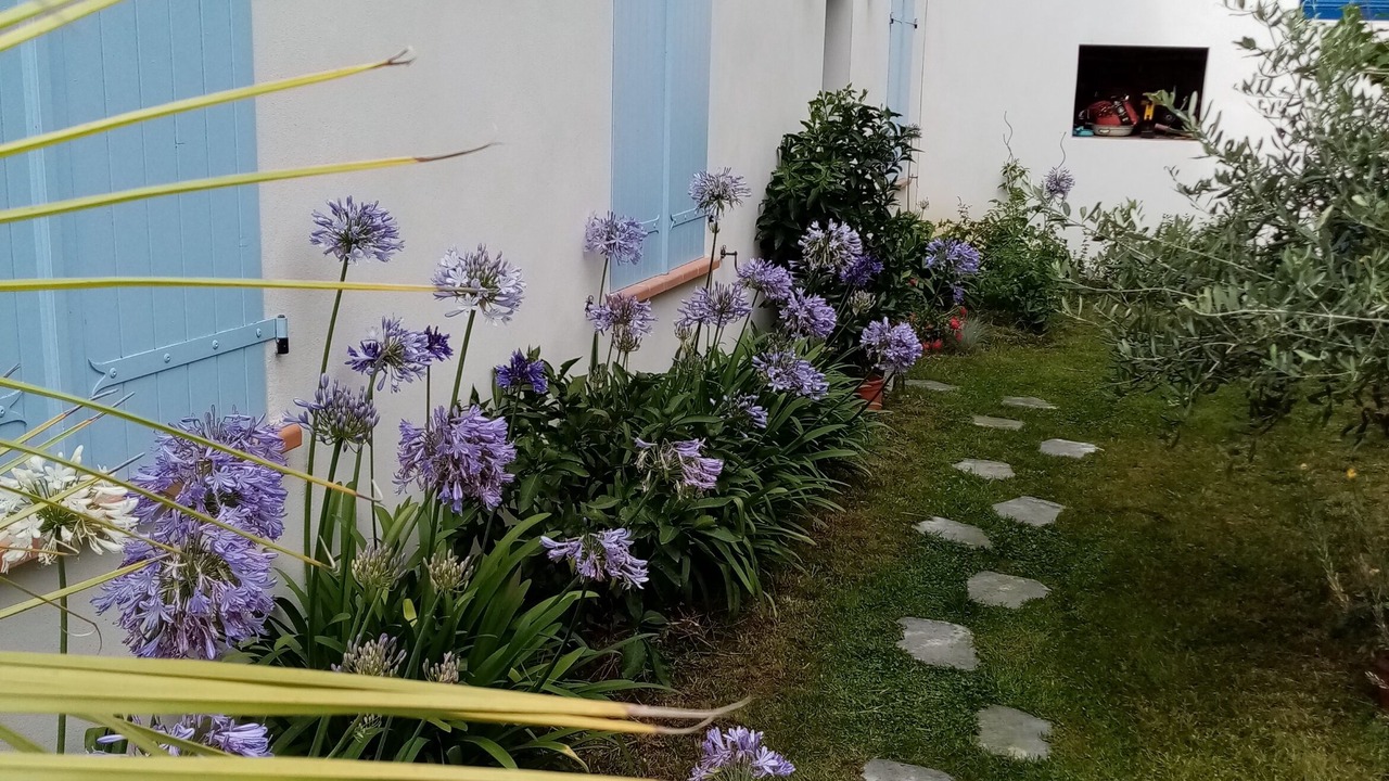 Photo of Outdoor in Cote Pavee