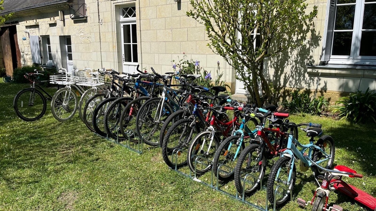 Photo of Outdoor in Savigny-en-Veron