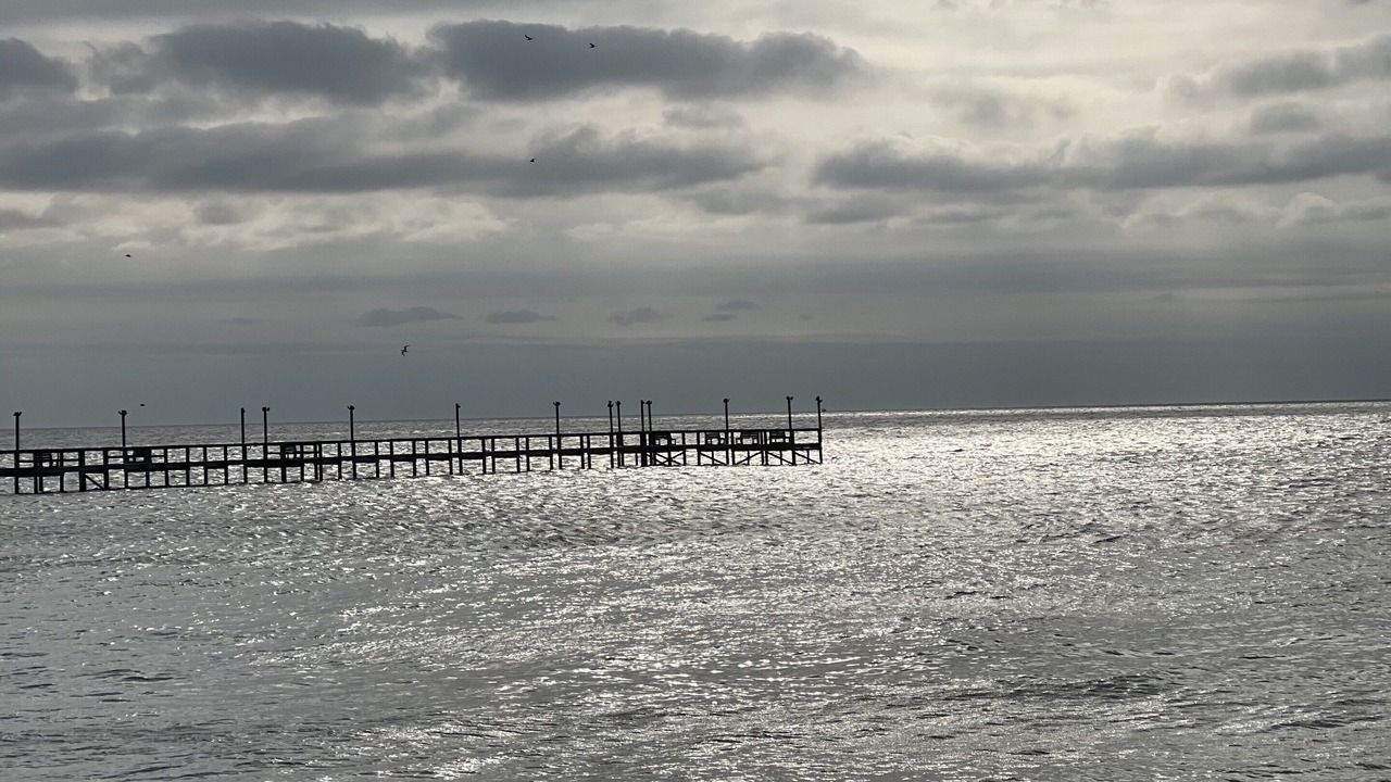 Photo of Others in Rockport