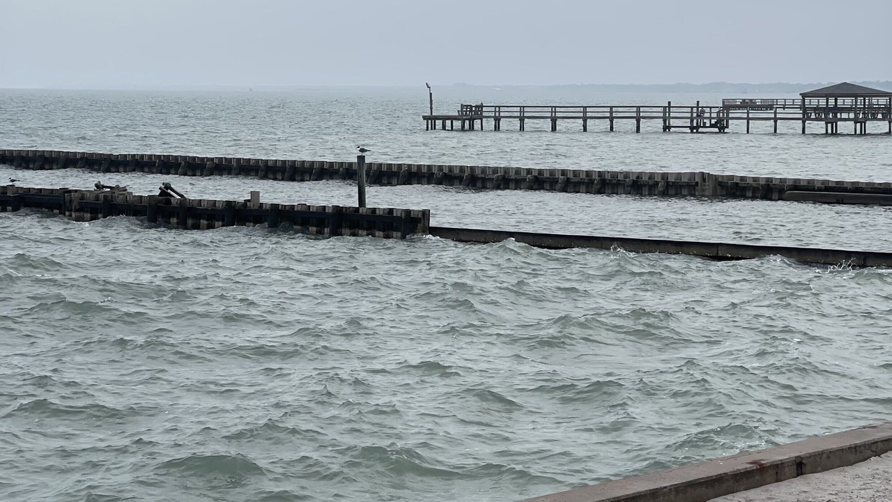 Photo of Others in Rockport
