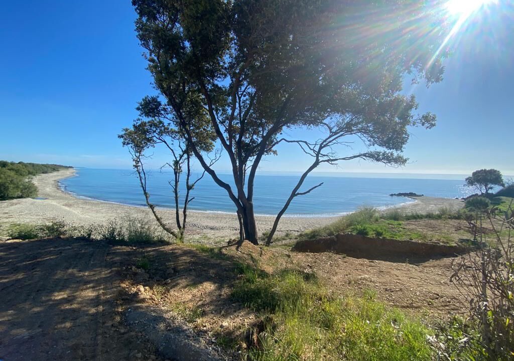 Photo of Others in Bravone