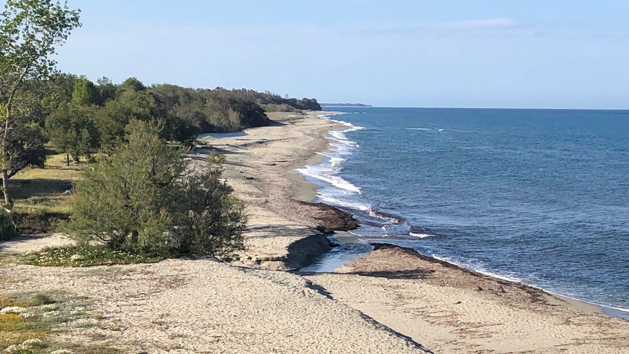 Photo of Others in Bravone