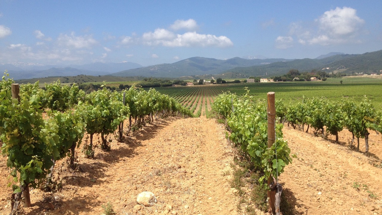 Photo of Outdoor in Bravone