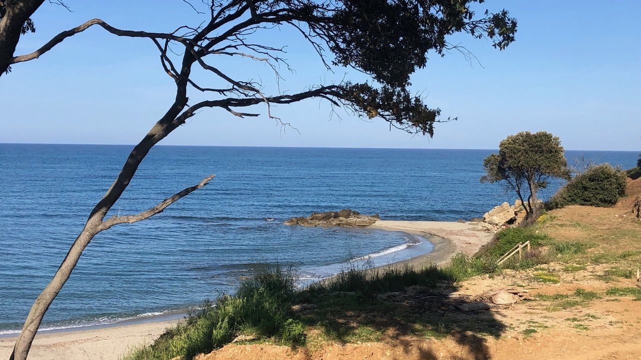 Photo of Others in Bravone