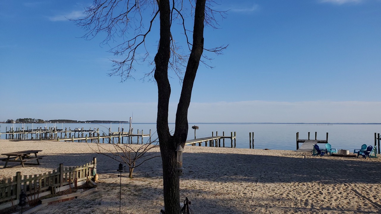 Photo of Others in Piney Point