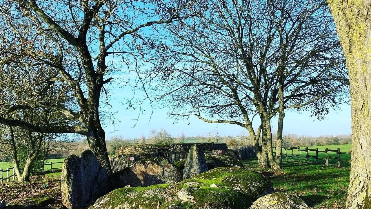 Photo of Outdoor in Bazoges-en-Pareds