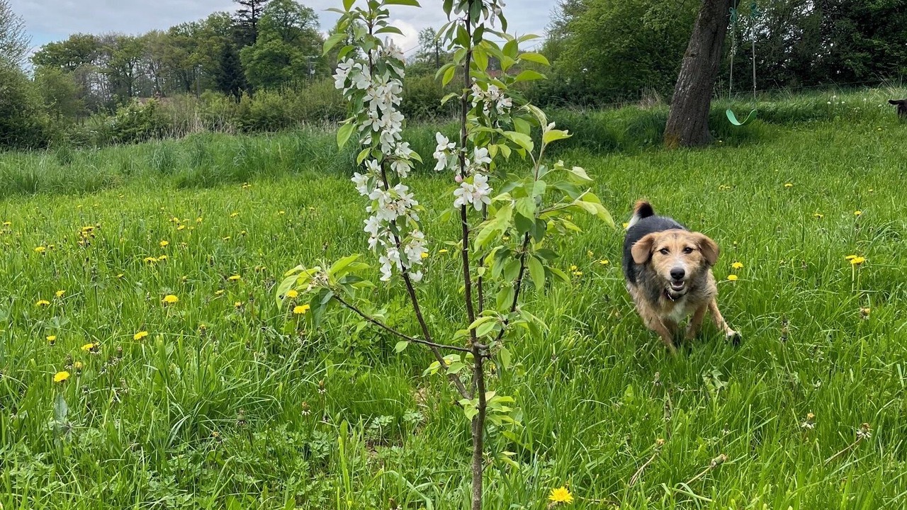 Photo of Outdoor in Nouziers