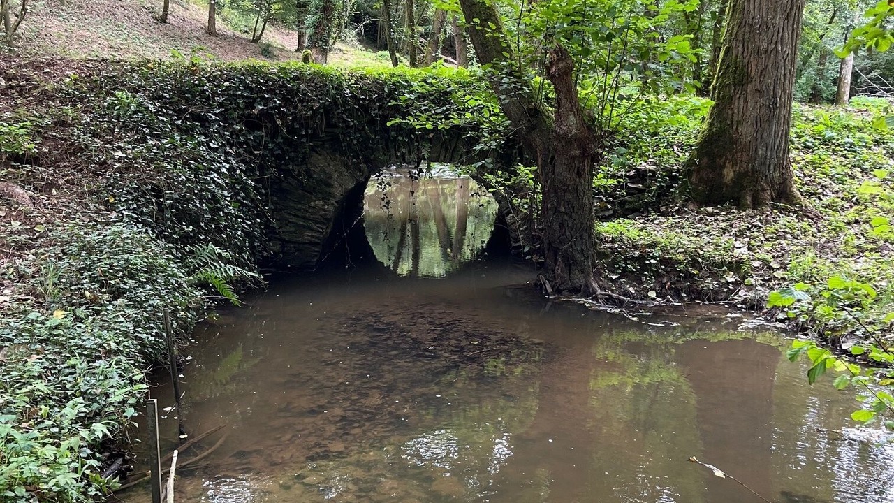 Photo of Others in Nouziers