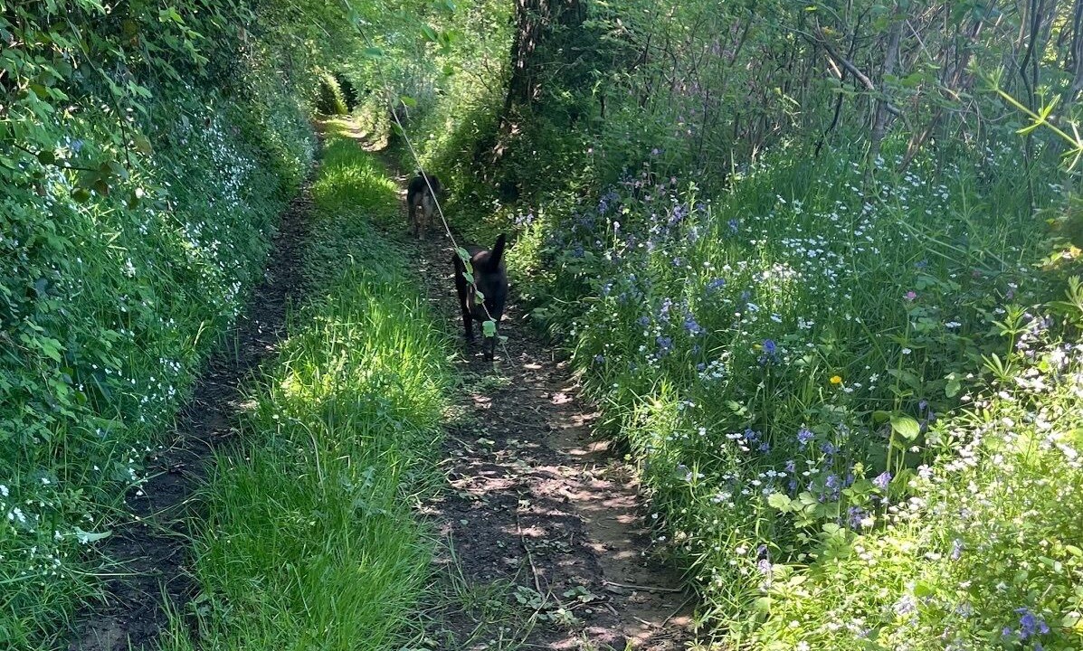 Photo of Others in Nouziers