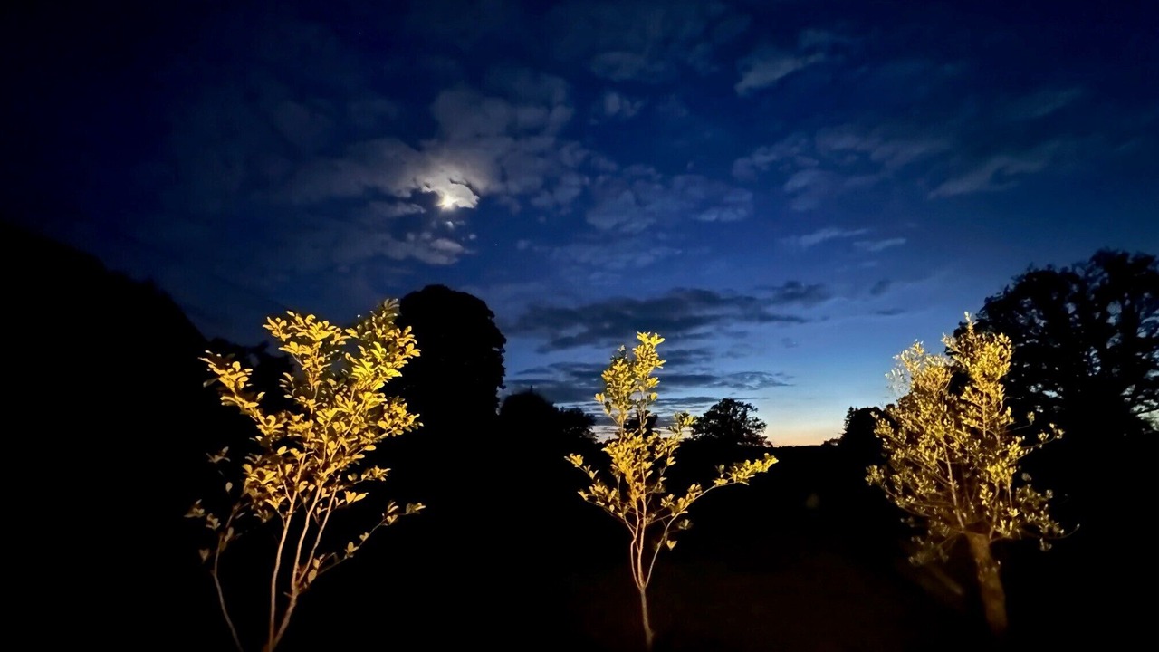 Photo of Others in Nouziers