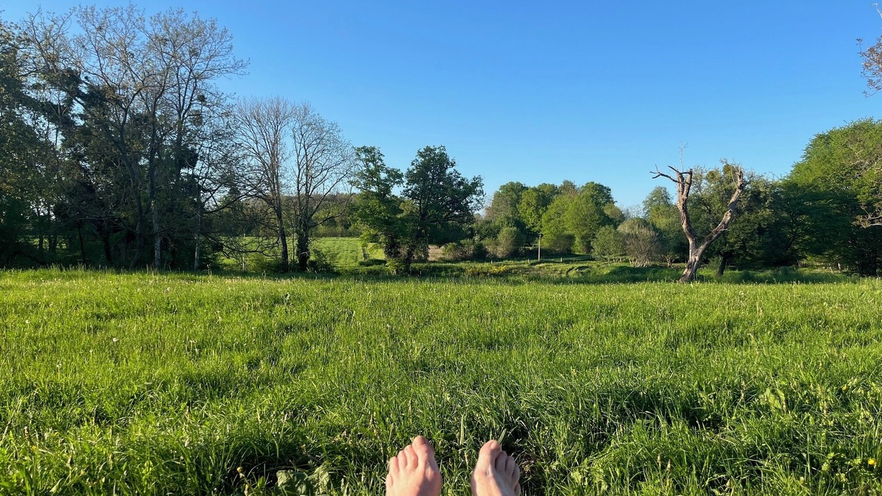 Photo of Others in Nouziers