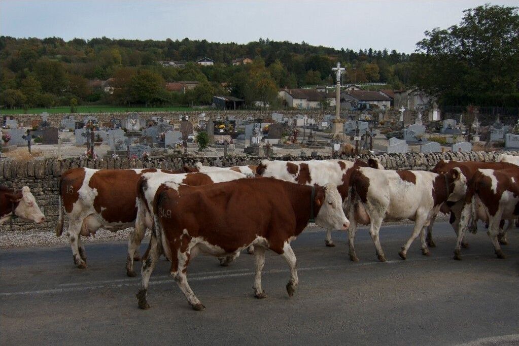 Photo of Others in Gigny