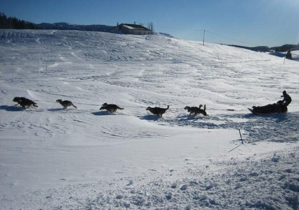 Photo of Others in Gigny