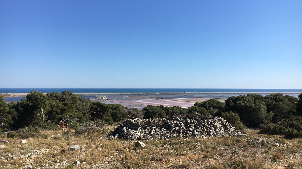 Photo of Others in Gruissan