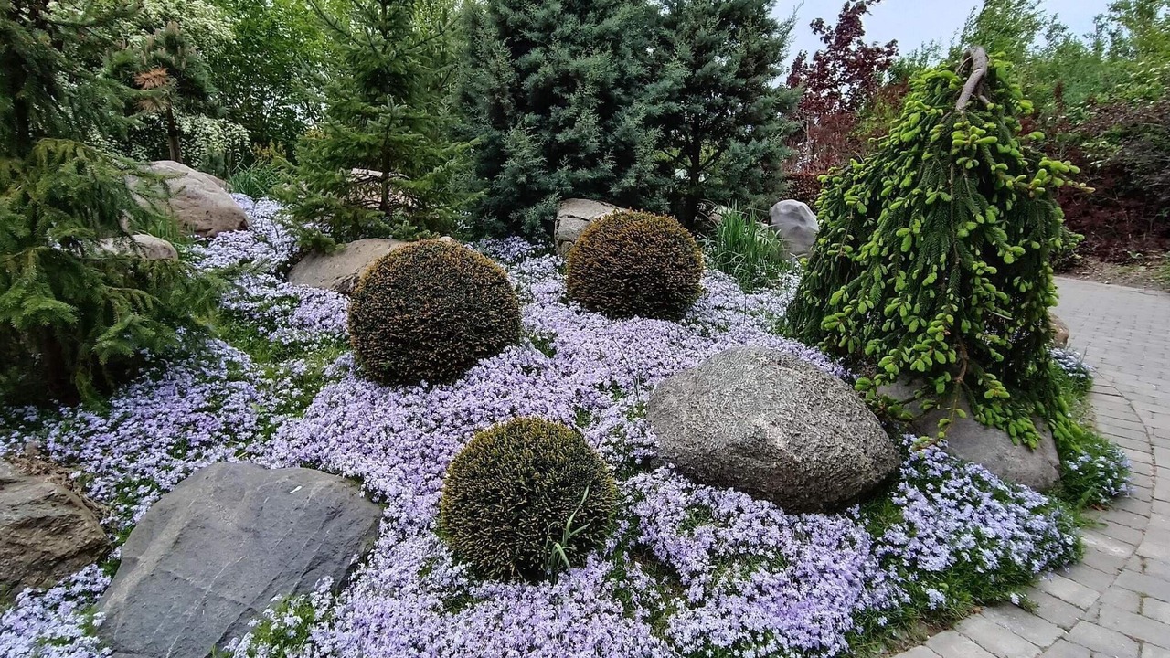 Photo of Outdoor in Nordborg