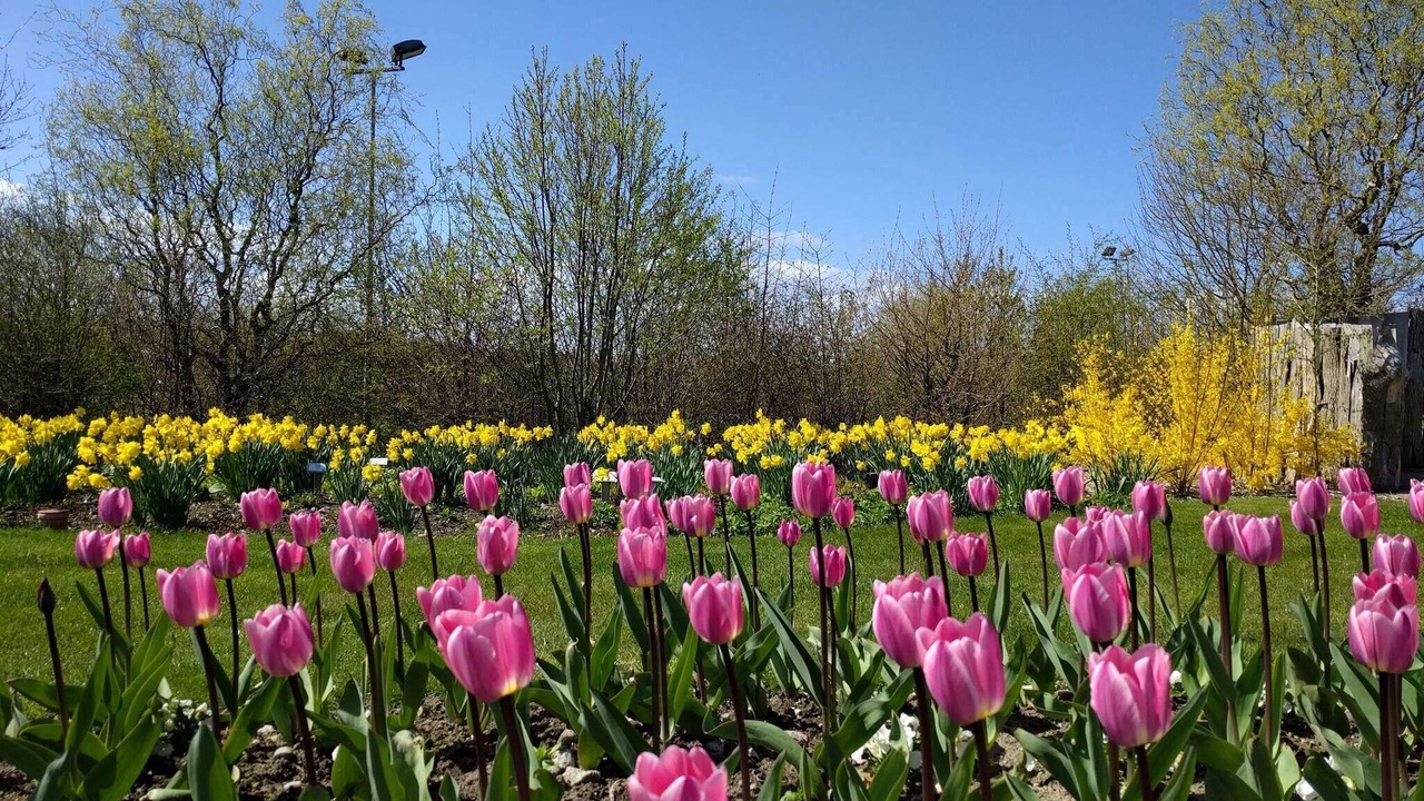 Photo of Outdoor in Nordborg