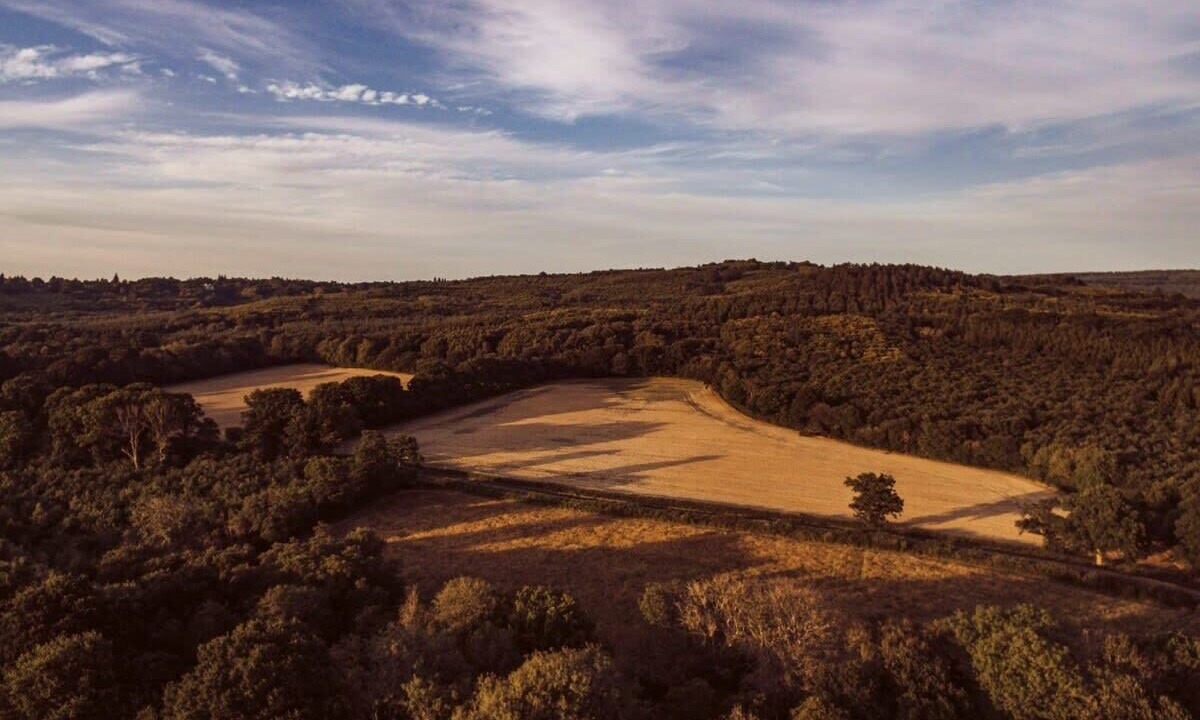 Photo of Others in Haslemere