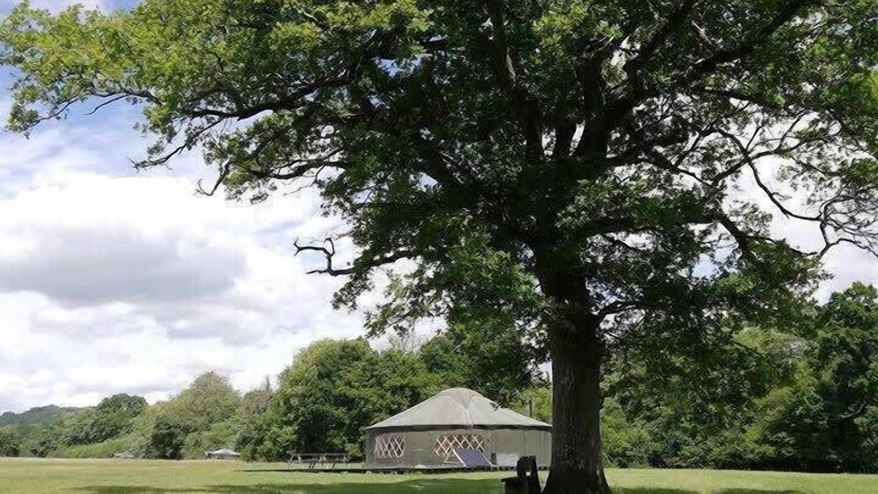 Photo of Others in Haslemere