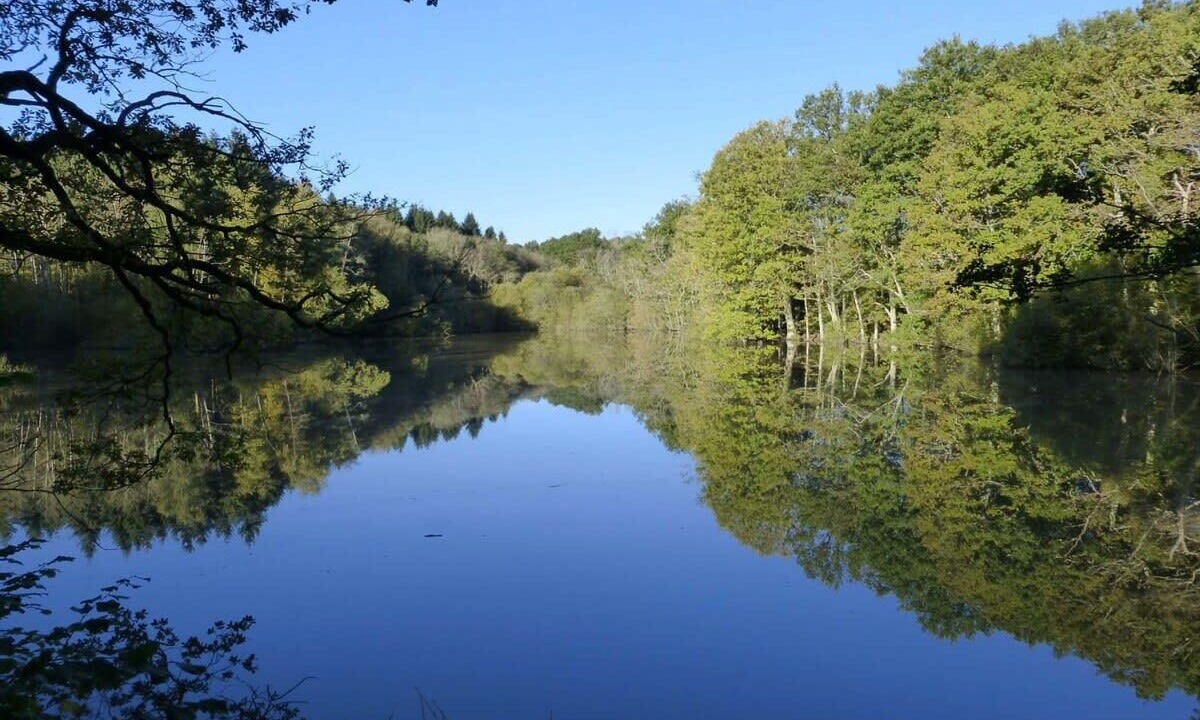 Photo of Outdoor in Haslemere