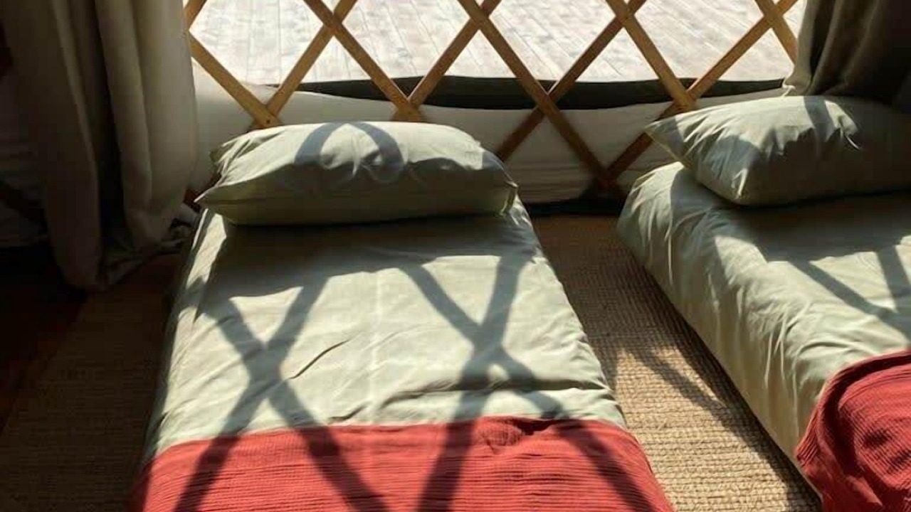 Photo of Others in Haslemere