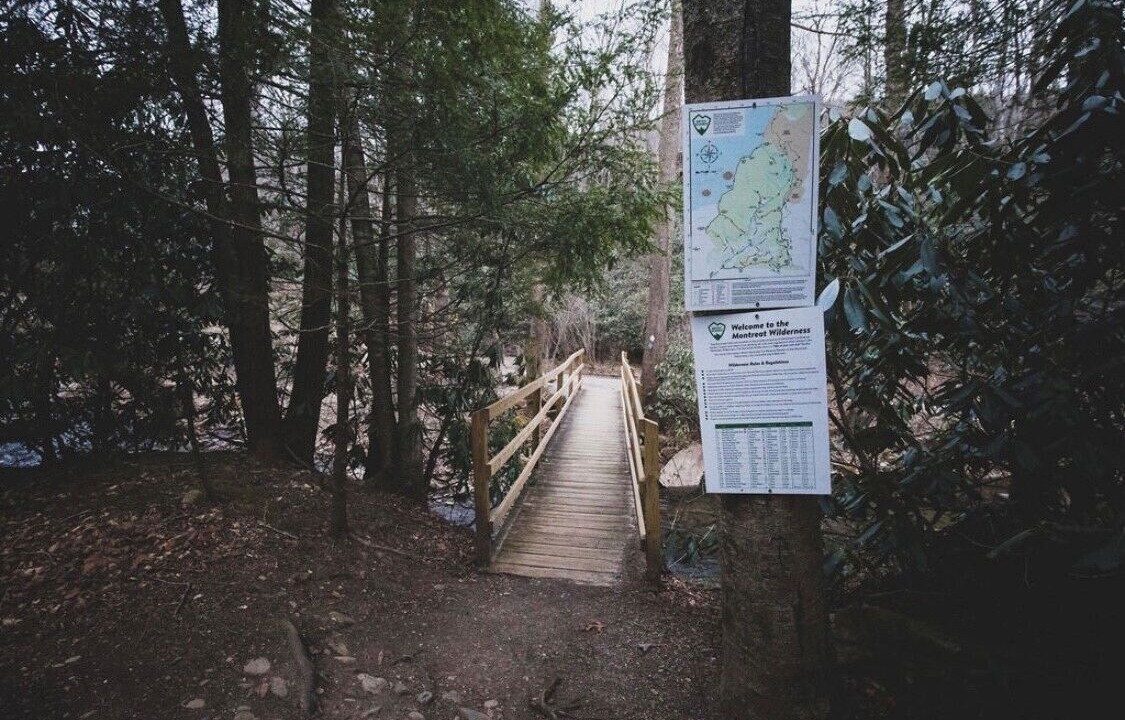 Photo of Others in Montreat