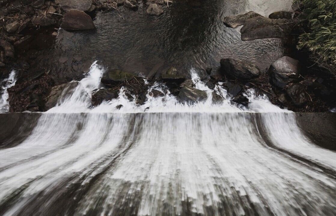 Photo of Others in Montreat