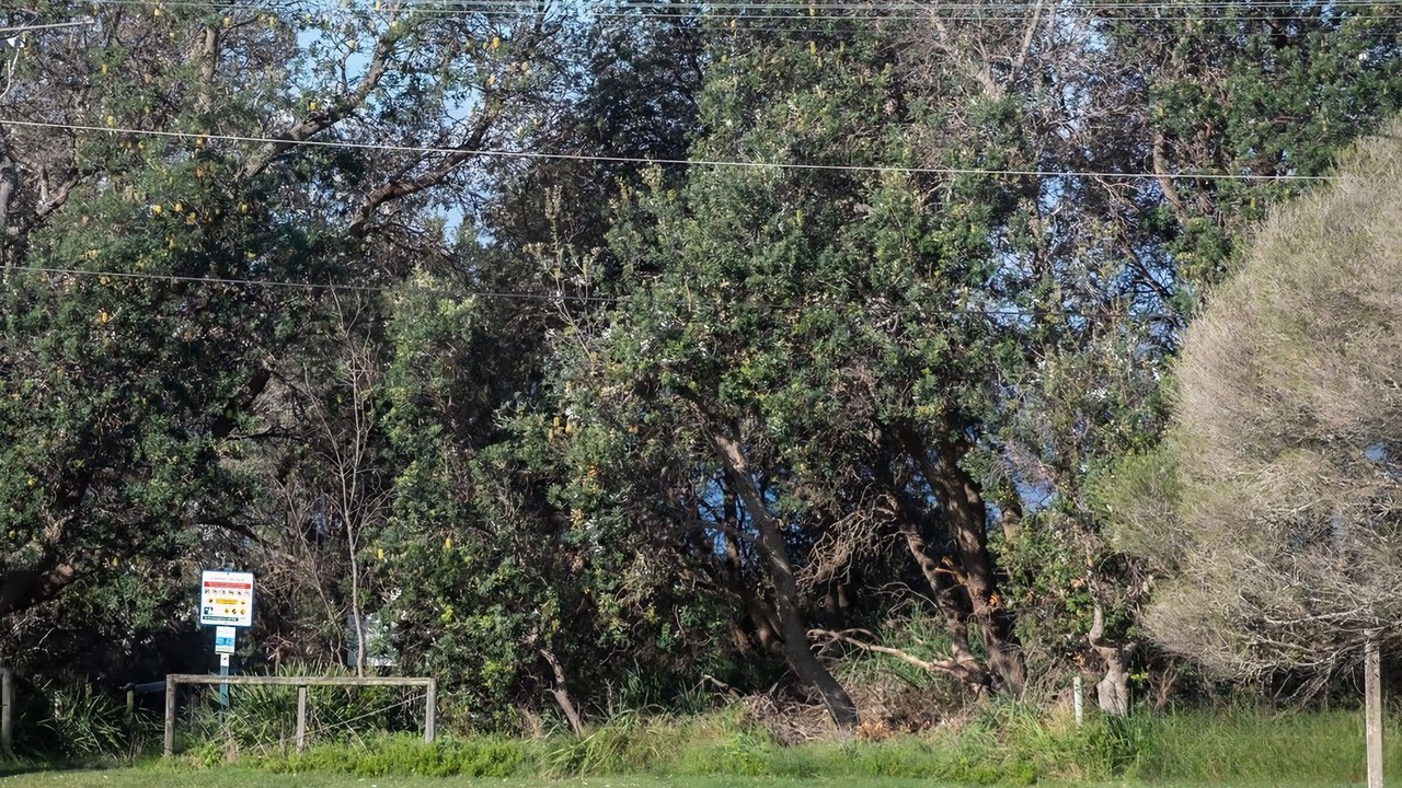 Photo of Others in Bawley Point