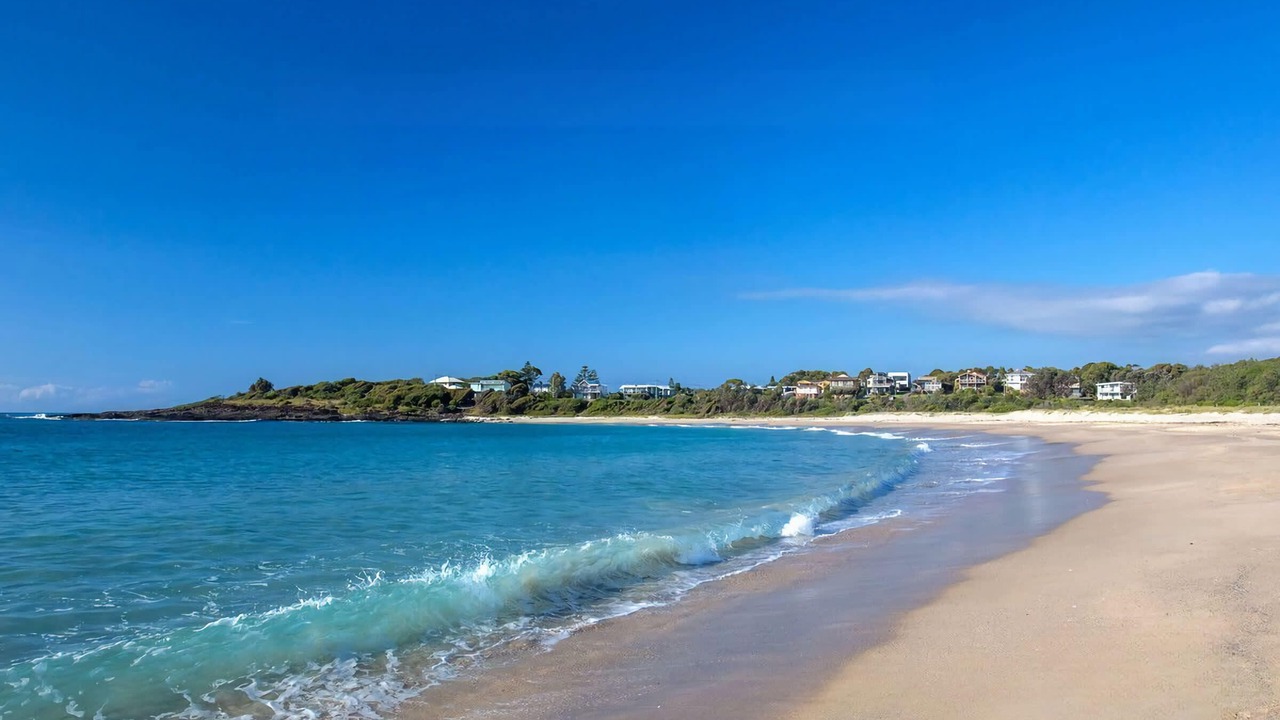 Photo of Others in Bawley Point