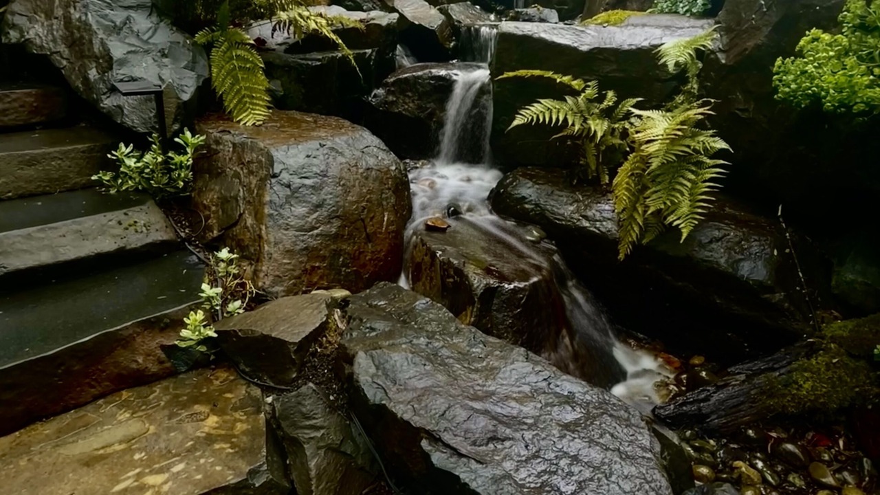 Photo of Outdoor in Squak Mountain