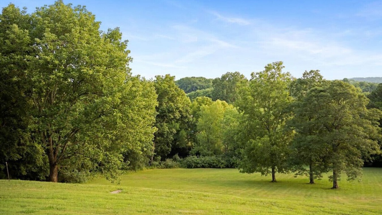 Photo of Others in Hendersonville