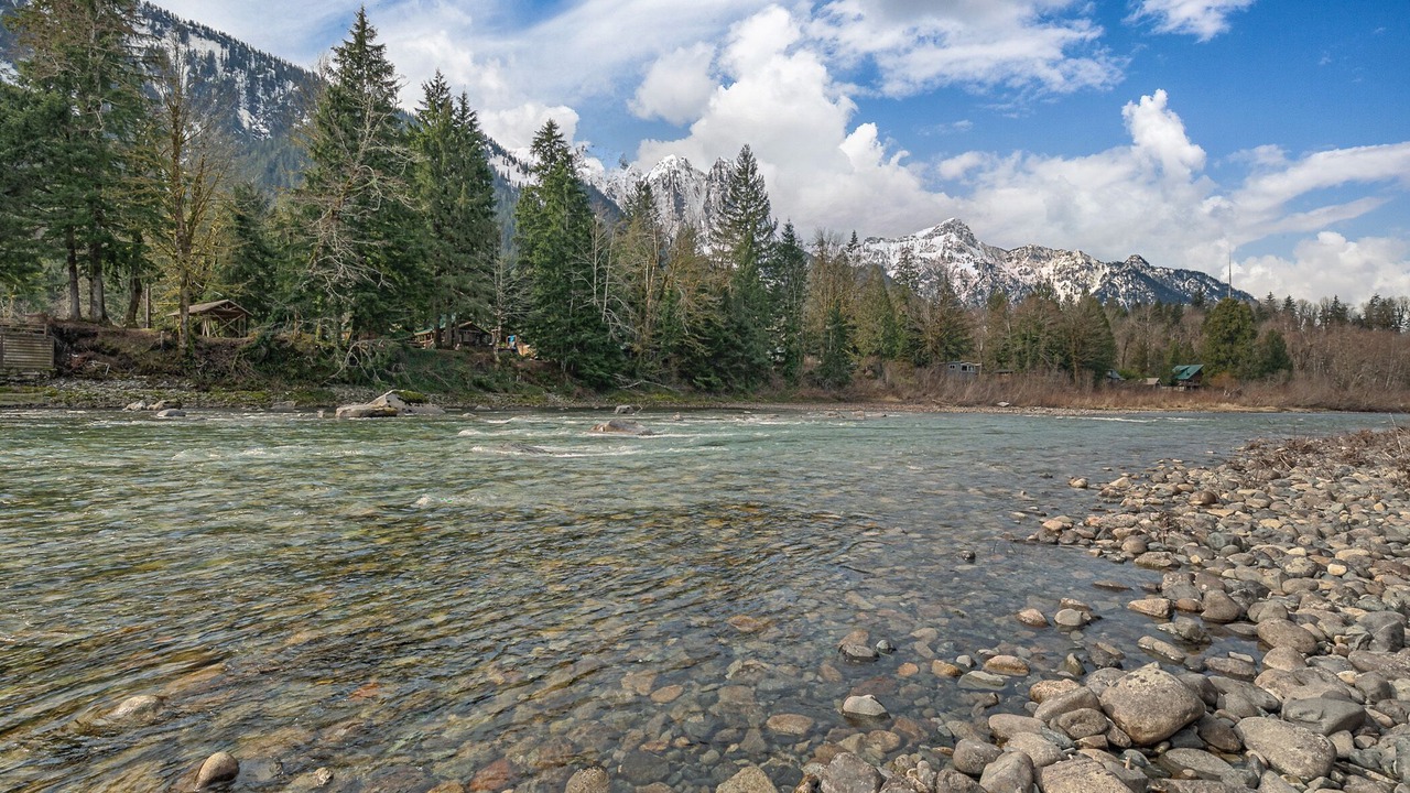 Photo of Others in Gold Bar