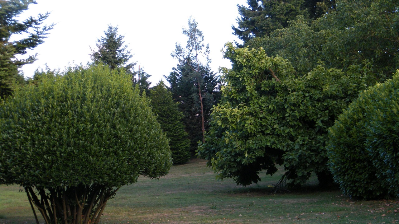 Photo of Outdoor in Bazoges-en-Pareds