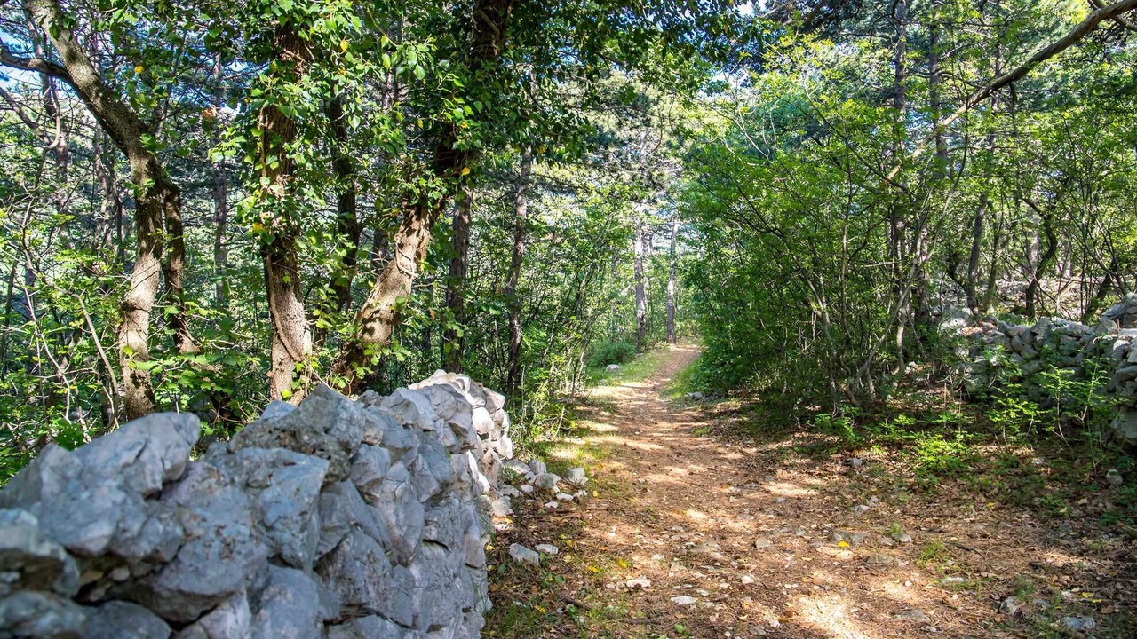 Photo of Outdoor in Jurandvor