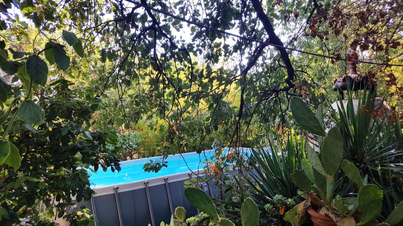 Photo of Outdoor in Durfort-et-Saint-Martin-de-Sossenac