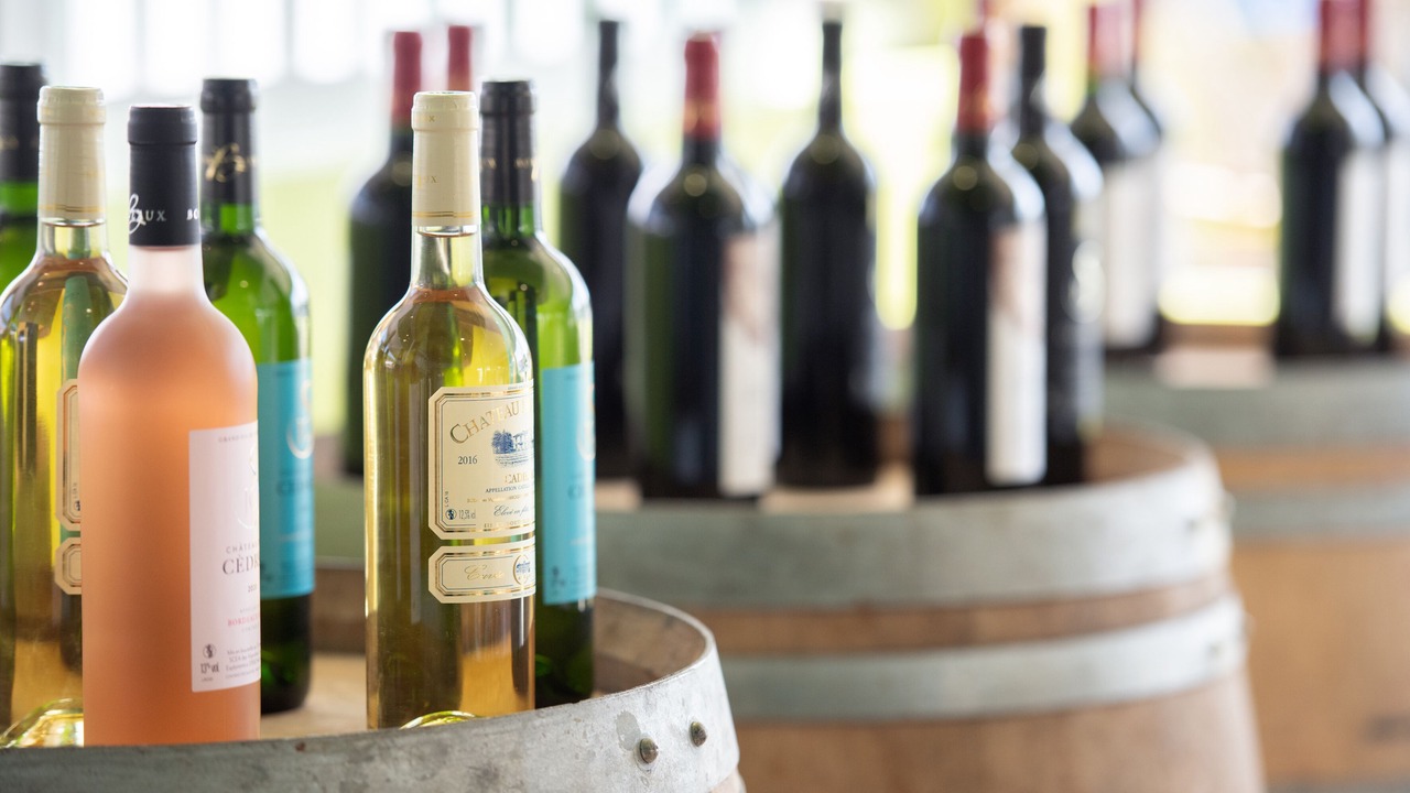 Photo of Others in Saint-Paul-les-Dax